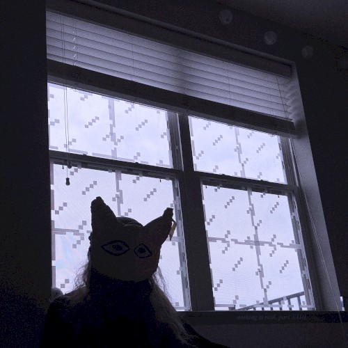 nothing is real, part XXIII