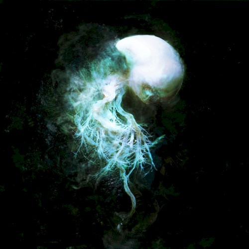 The Disappearance Of Memories