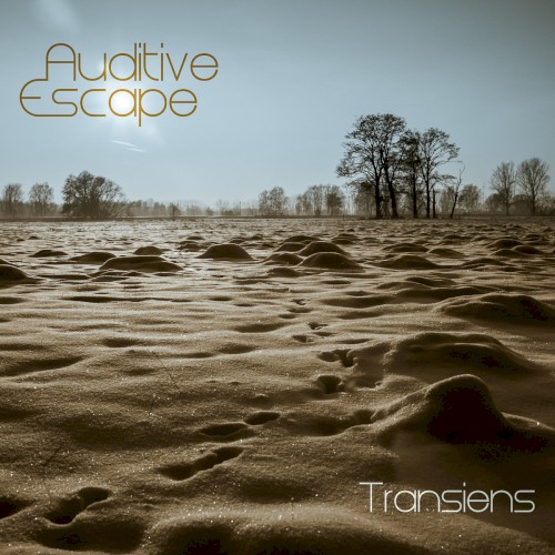 Transiens