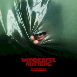 Wonderful Nothing