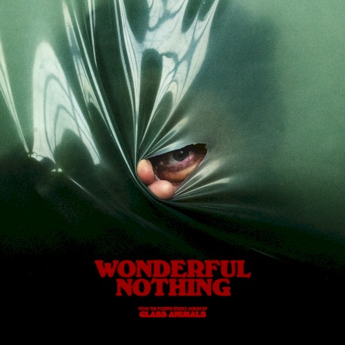 Wonderful Nothing