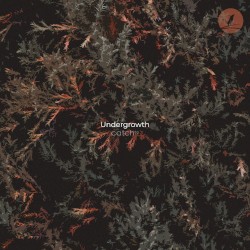 Undergrowth