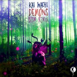 Demons (Black Tiger Sex Machine remix)