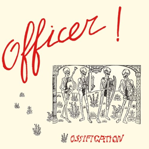 Ossification