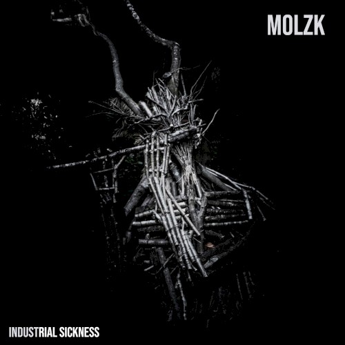 Industrial Sickness