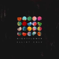 Nightflower