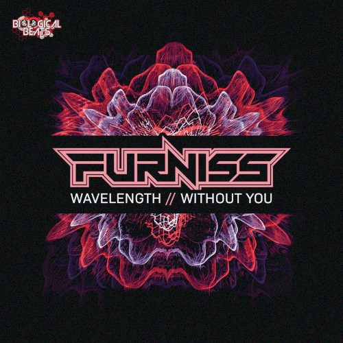 Wavelength / Without You