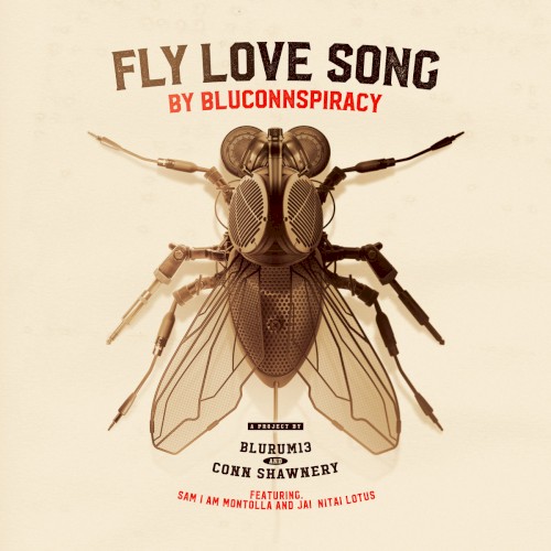Fly Love Song
