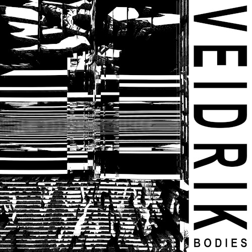 Bodies