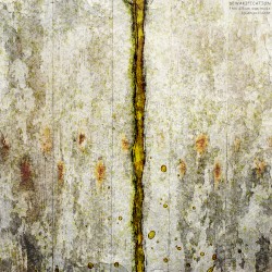 This album was made by an accident