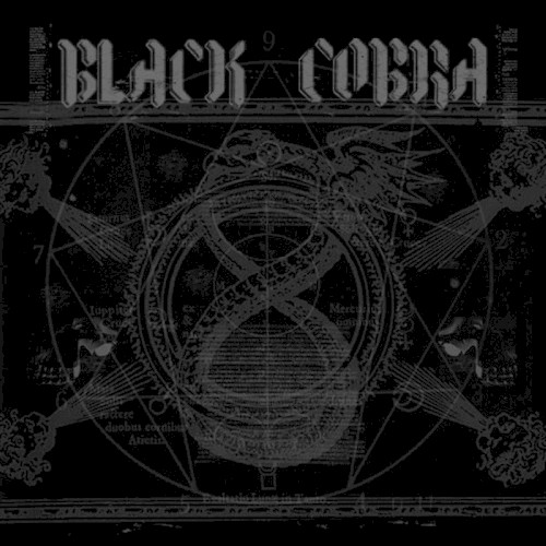 Black Cobra