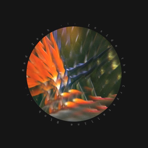 Inside the Crystalline Blob