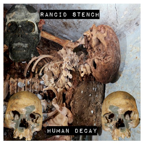 Human Decay