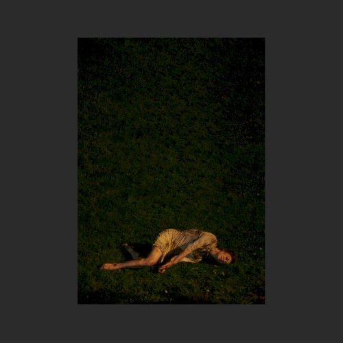 Wolf (Boys Noize Remix)