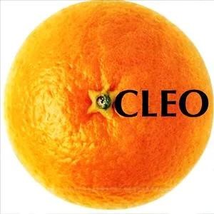 CLEO