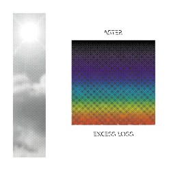 excess loss