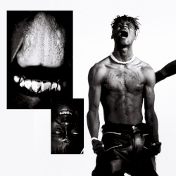 GAS CHAMBER