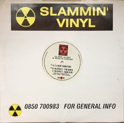 F*ckin' Hardcore / In Effect (Remixes)