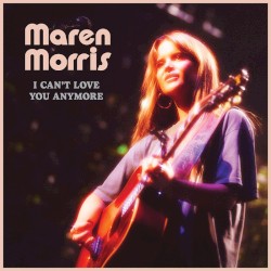 I Can't Love You Anymore