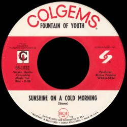 Sunshine On A Cold Morning