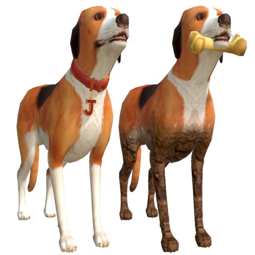 dogslife