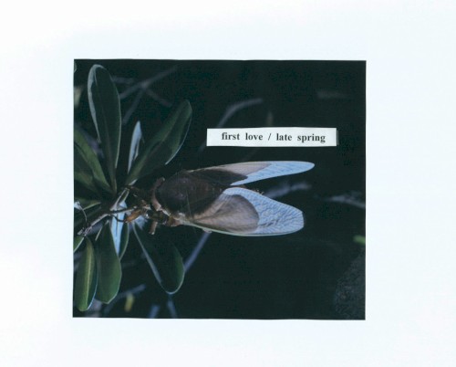 first love / late spring