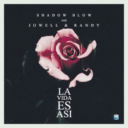 La vida es así (remix)