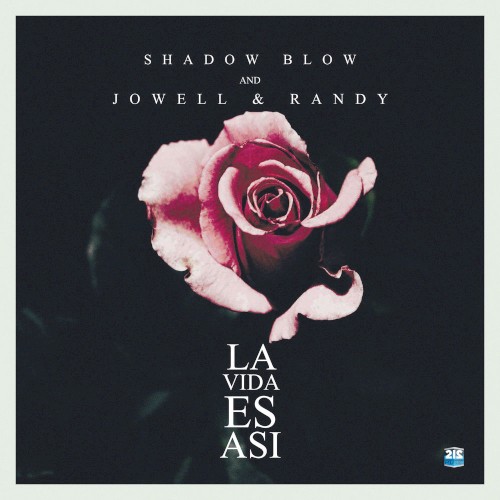 La vida es así (remix)