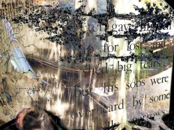 Freeroam 161 :: Real-Light Relations From the Second Meeting Which Now Achieved Near Doubleweek Transcendence XXIX -- "Drovedirve"