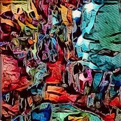 February 15 2019
