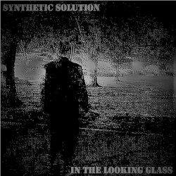 In the Looking Glass