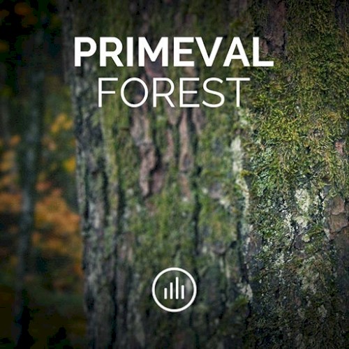 Primeval Forest