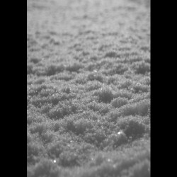 Schnee