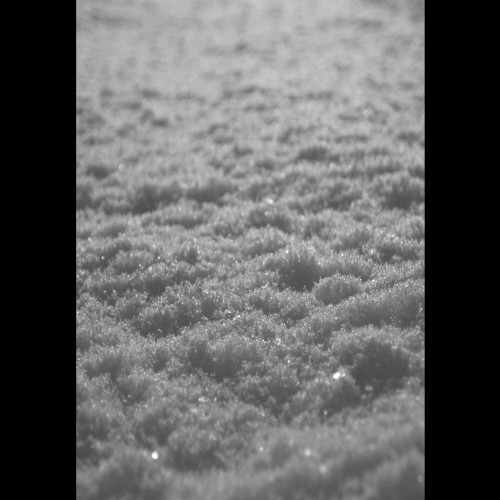 Schnee
