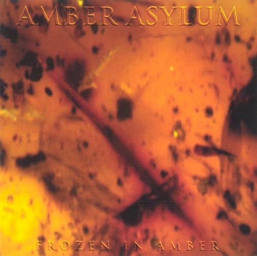 Frozen in Amber