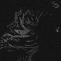 ボイド