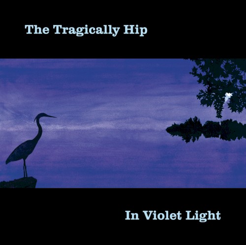 In Violet Light