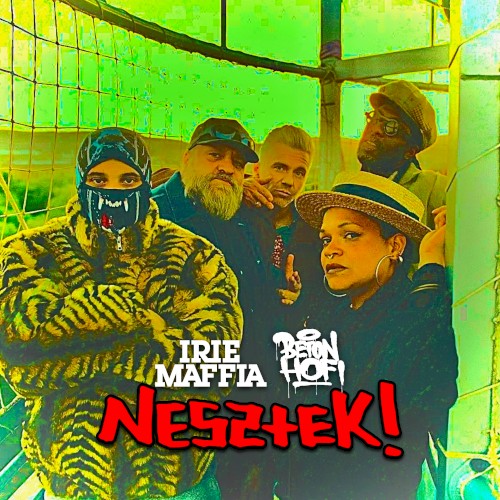Nesztek!