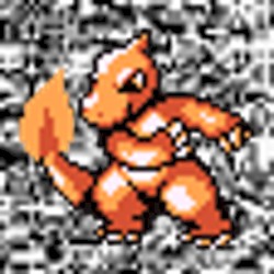 #005 ~ Charmeleon