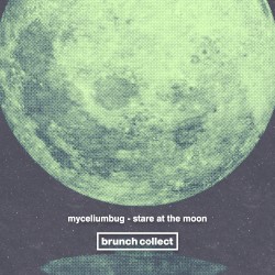 Stare at the Moon