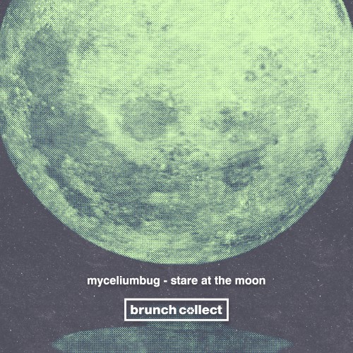 Stare at the Moon