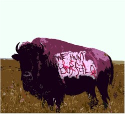 We Hunt Buffalo