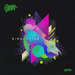 Simulation