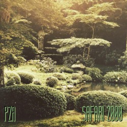 SAFARI 2000