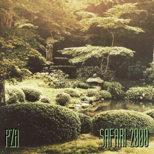 SAFARI 2000