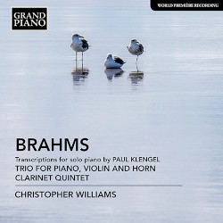 Transcriptions for solo piano by Paul Klengel: Trio for Piano, Violin and Horn / Clarinet Quintet