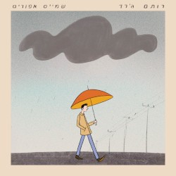 שמיים אפורים
