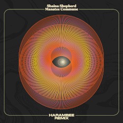 Harambee (Manatee Commune remix)