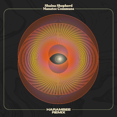 Harambee (Manatee Commune remix)