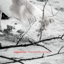 Jagged Line